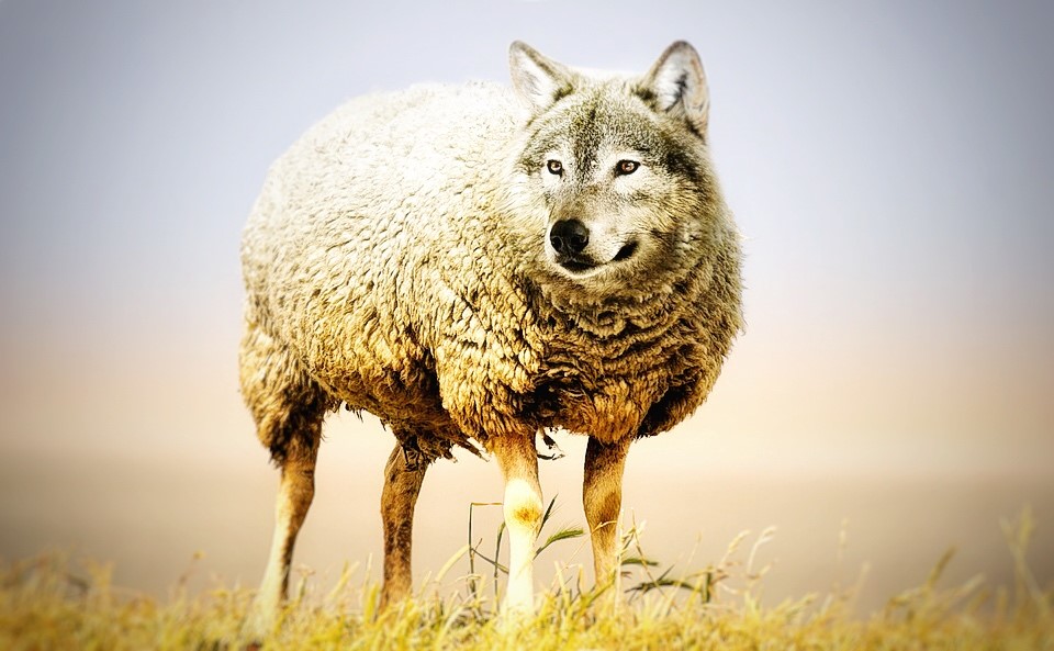 Nazorg als verkoopkanaal